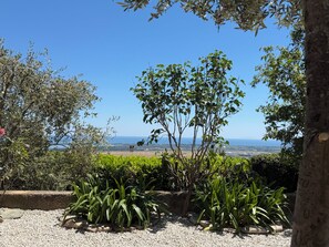 A garden with a view of the sea, a small wooden structure, and various plants.