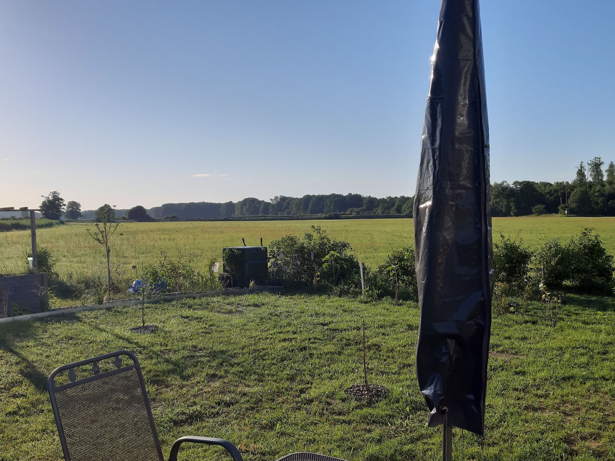 Un espace extérieur verdoyant avec une chaise en métal et un objet couvert au premier plan, qui pourrait être un barbecue ou un parasol.