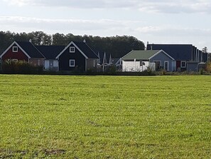 Ländliche Landschaft mit einem großen, grünen Feld und einer Reihe von Häusern mit unterschiedlich farbigen Dächern.