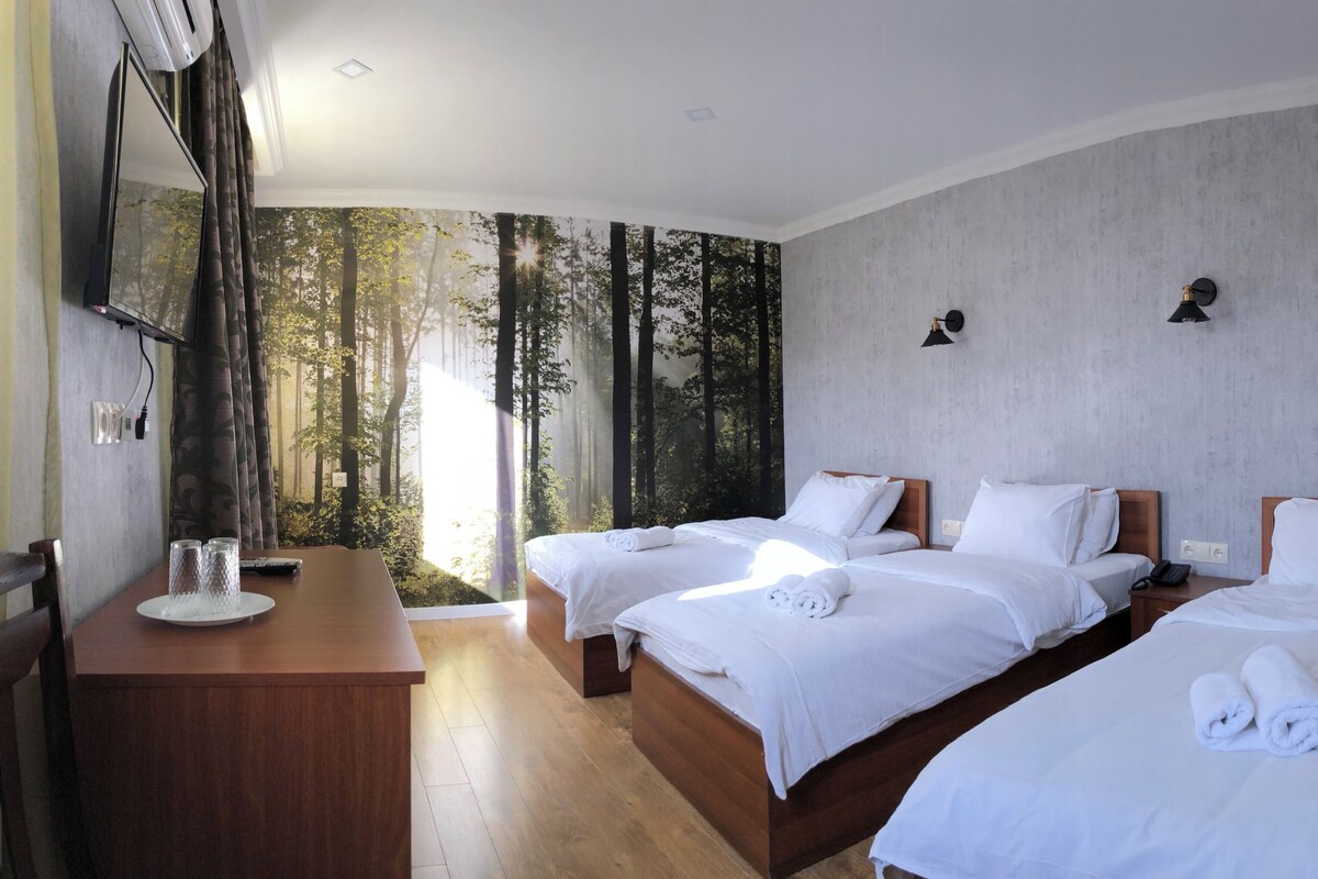 A hotel room with two beds, a desk with a mirror, and a view of trees through the window.