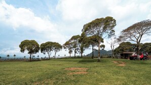 Un campo cubierto de césped con árboles, un vehículo rojo y un edificio al fondo.