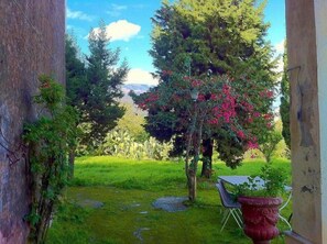 Ein Garten mit Tisch und Stühlen, einem Blumentopf und Blick auf eine entfernte Landschaft.