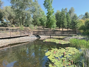 Property grounds - Somerset Ranch Estates • Luxury Nature Retreat (Somerset)