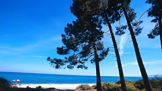 A beach with clear skies, a sandy shore, and tall pine trees. - Beautiful, comfortable villa (Prunelli-di-Fiumorbo)