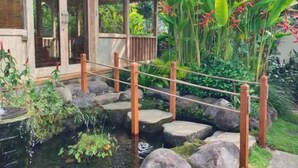 A wooden structure with a covered porch, a small pond with rocks, and tropical plants. - Bali Sawah Indah  (Tampaksiring)