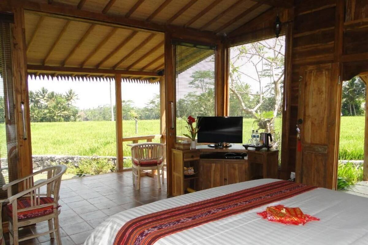 Una habitación con una cama, un escritorio con televisor y una silla.