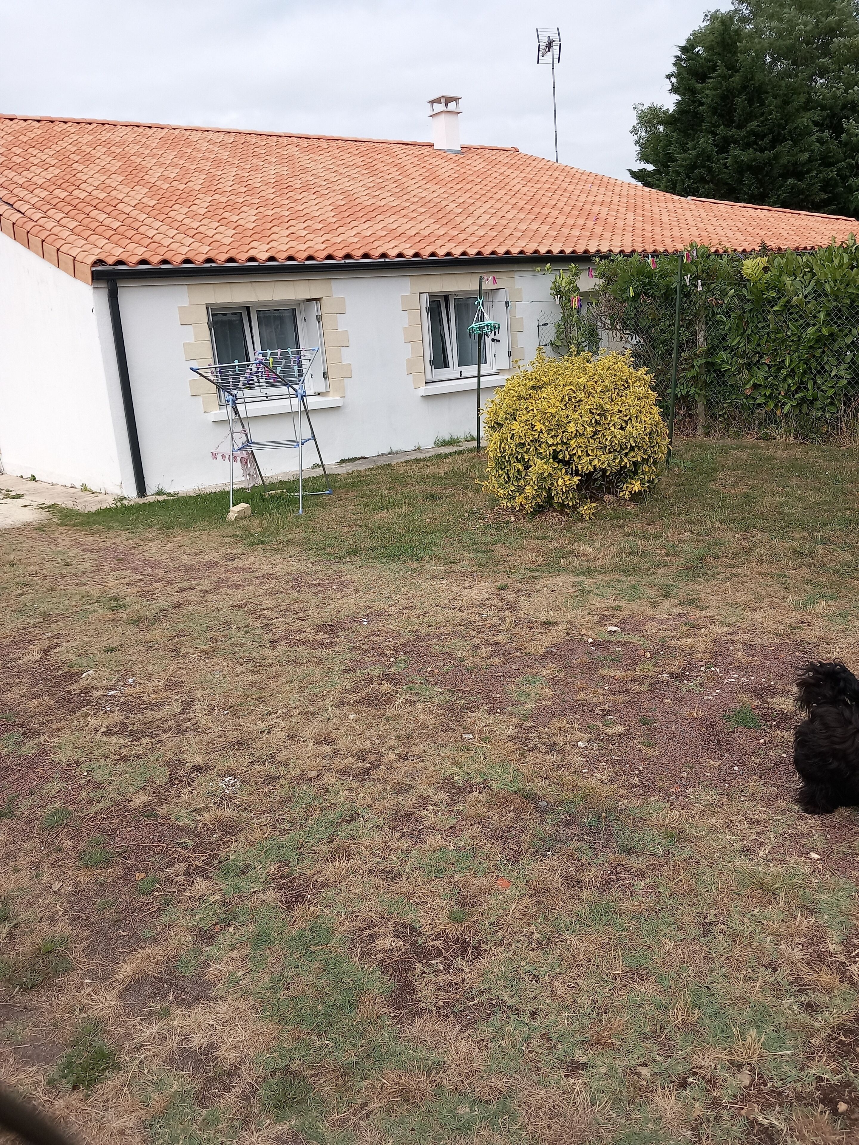 Een huis met een pannendak, een kleine tuin met een gele struik, en een rek om was te drogen.