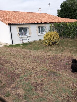 Ein Haus mit Ziegeldach, ein kleiner Garten mit einem gelben Busch und eine Wäscheleine.