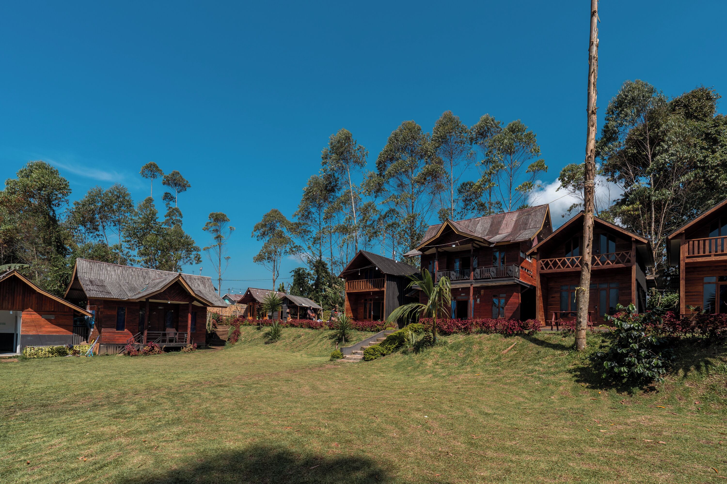 A cluster of wooden cabins with a grassy lawn and trees in the background.