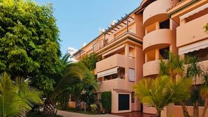 Een meerlaags hotel met balkons, palmbomen en een geplaveid pad.