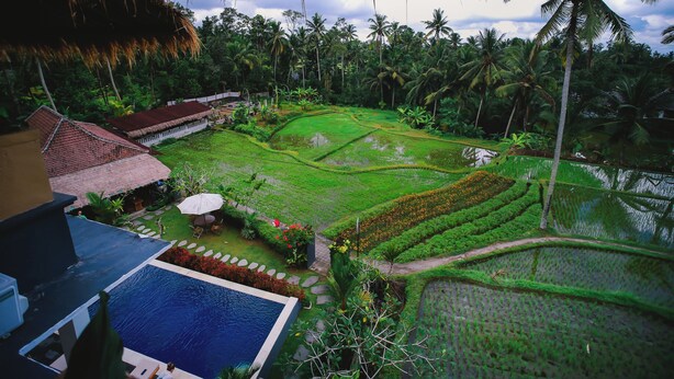 Üppige Landschaft mit gestuften Reisfeldern, einem Swimmingpool und traditioneller Architektur.