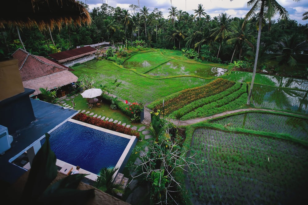 The Life Artelier Ubud