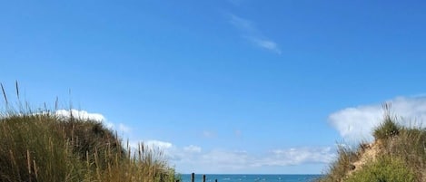 A pathway leading to a beach with the sea in the distance.