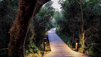 Jardines del alojamiento