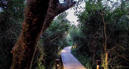 Royal Thonga Safari Lodge - Private Bush Chalet