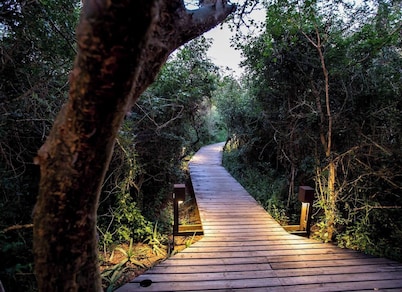 Royal Thonga Safari Lodge - Private Bush Chalet