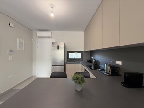 A modern kitchen with a built-in refrigerator, a small dining area, and a potted plant. - Two Bedroom Suite Tatiana in Nikiti (Nikiti city)