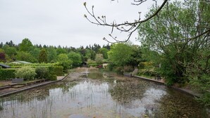 Een rustige tuin met een vijver, banken en diverse bomen.