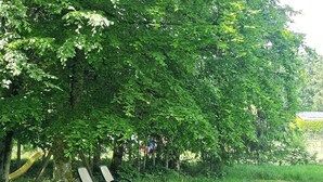 Un parque con una hamaca y dos sillones de descanso bajo un árbol.