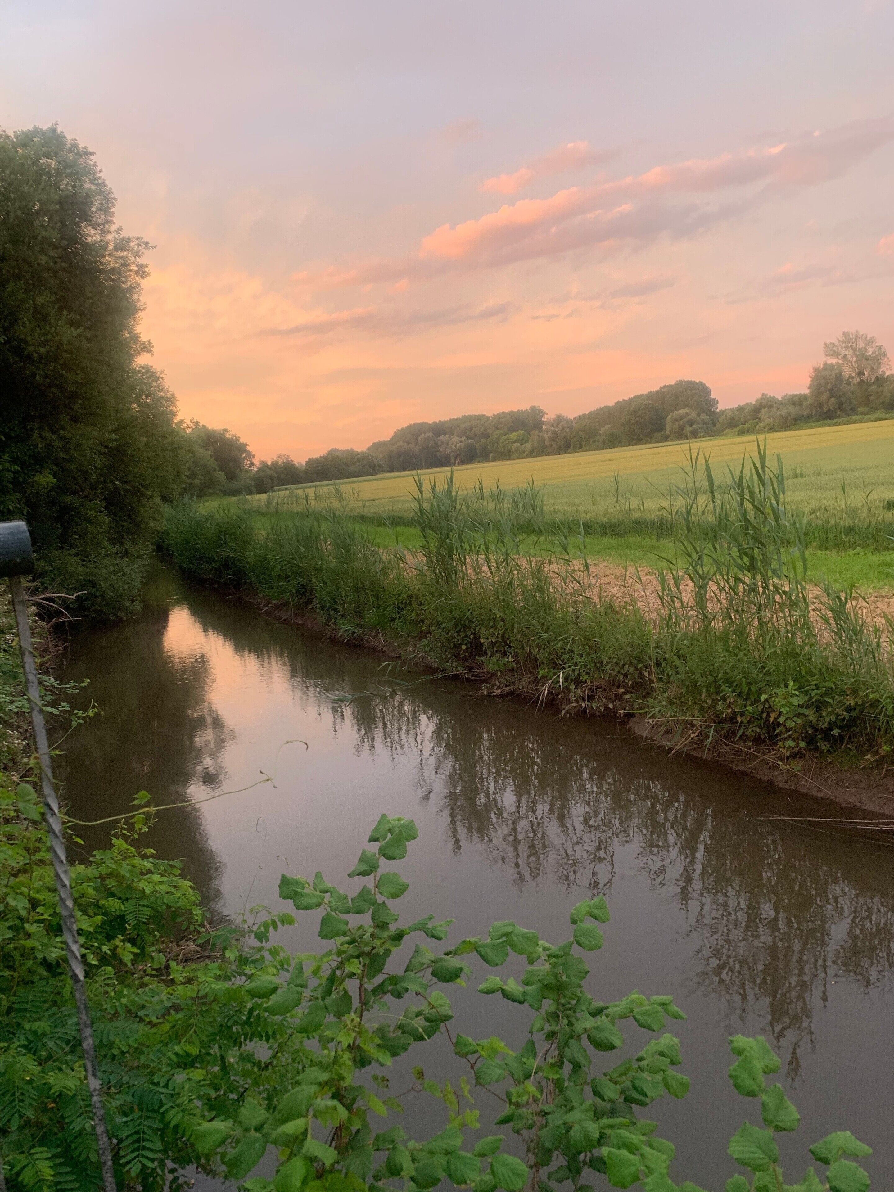 A calm river with greenery on both sides, a clear sky, and a distant tree line.