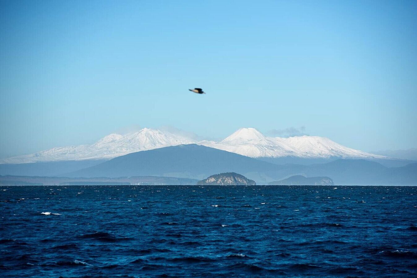 A view of the ocean with a bird flying over and snow-capped mountains in the background.
