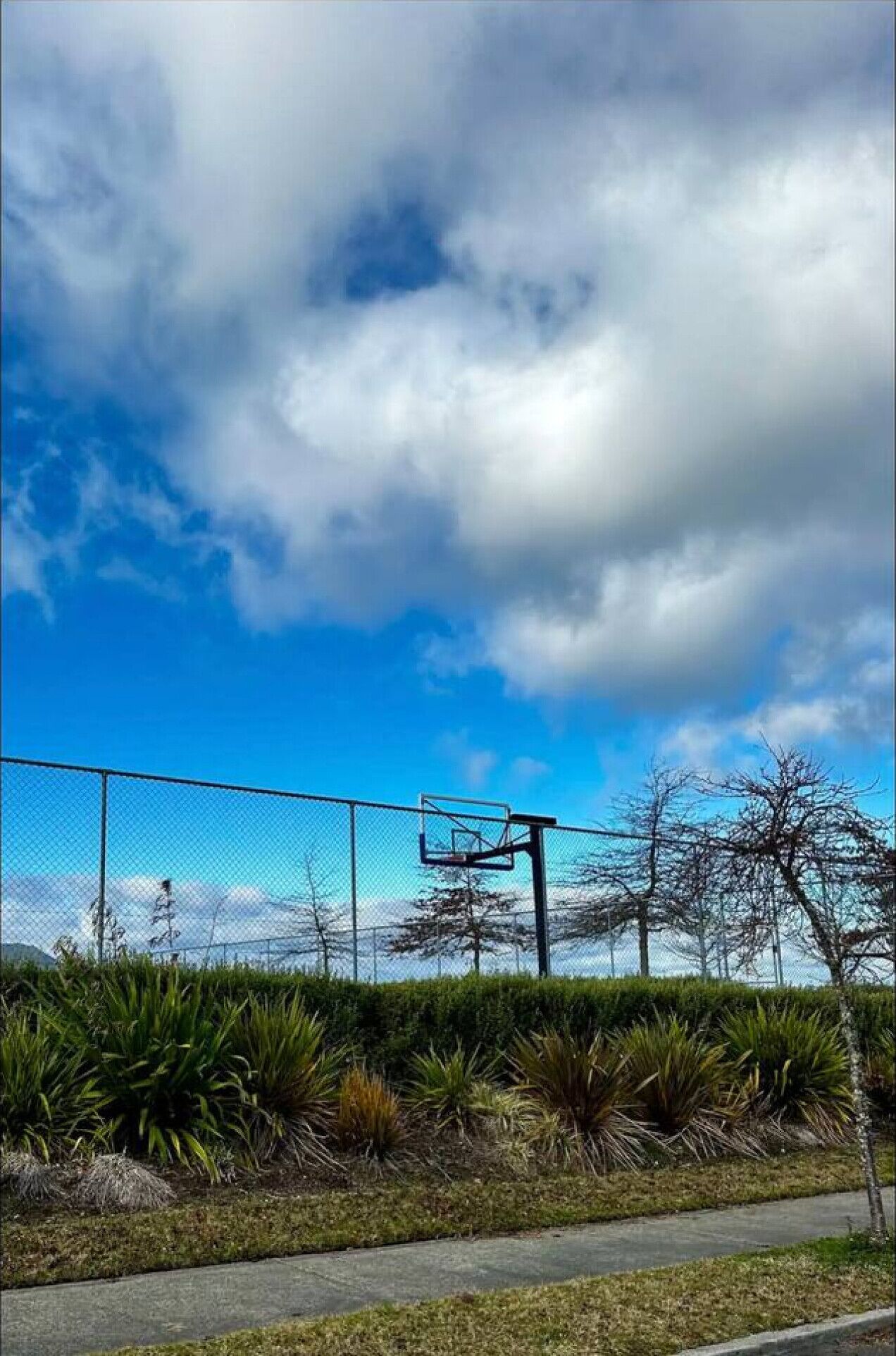 A basketball court with a chain-link fence, a basketball hoop, and a clear sky with clouds.