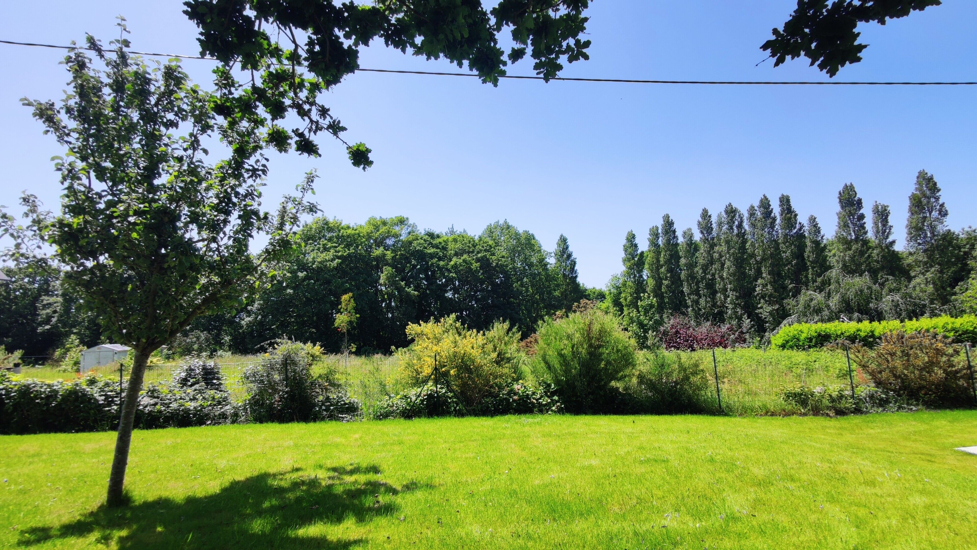 Un jardin bien entretenu, avec une variété d’arbres et d’arbustes, un ciel dégagé et une pelouse verdoyante.