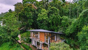 Une maison moderne à deux étages, entourée d’une végétation luxuriante.