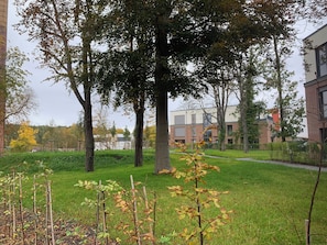 Ein grüner Innenhof mit Bäumen und modernen Gebäuden im Hintergrund.