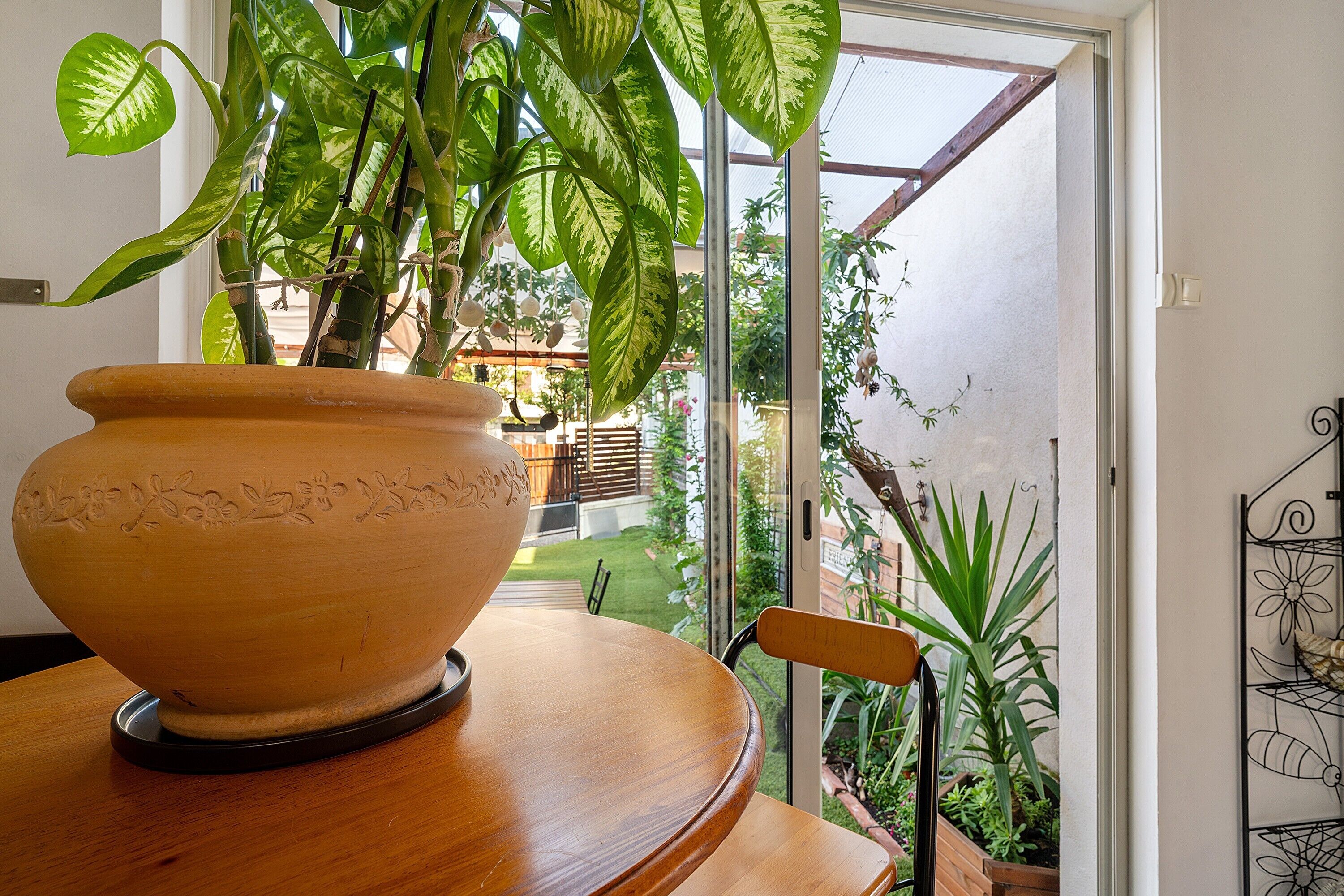 Un grand pot en terre cuite contenant une plante, posé sur une table en bois, avec une chaise à proximité et une vue sur un jardin par une porte vitrée.