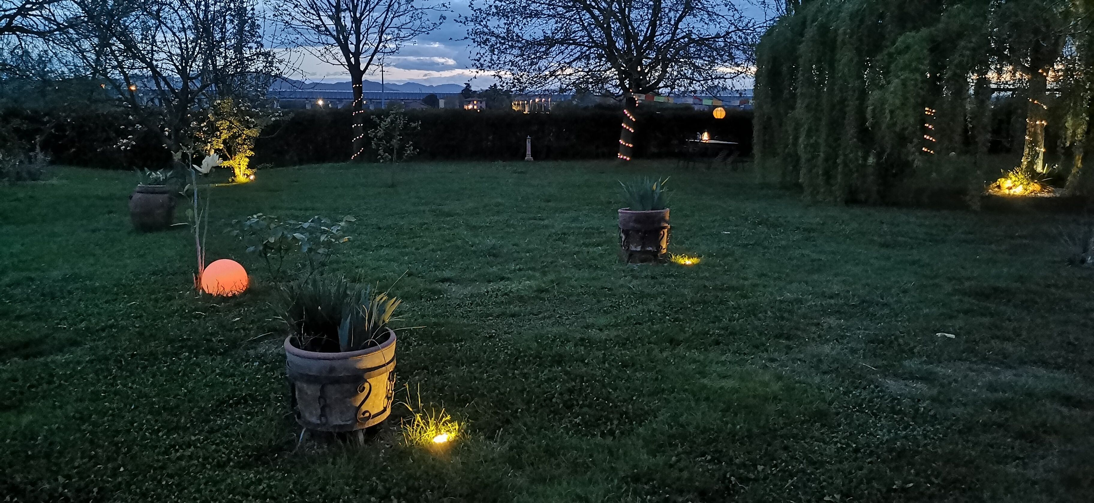 Un jardin agrémenté de plantes en pot et de guirlandes lumineuses.