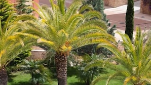 A garden with palm trees and other greenery. - Casa Mar-Luxury Apartments Islantilla-RuitenAppartementen (Lepe)