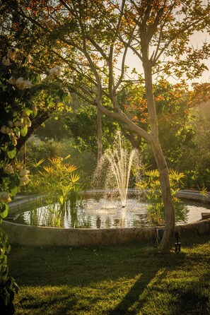 Ein ruhiger Garten mit einem Brunnen, umgeben von üppigem Grün und Bäumen.