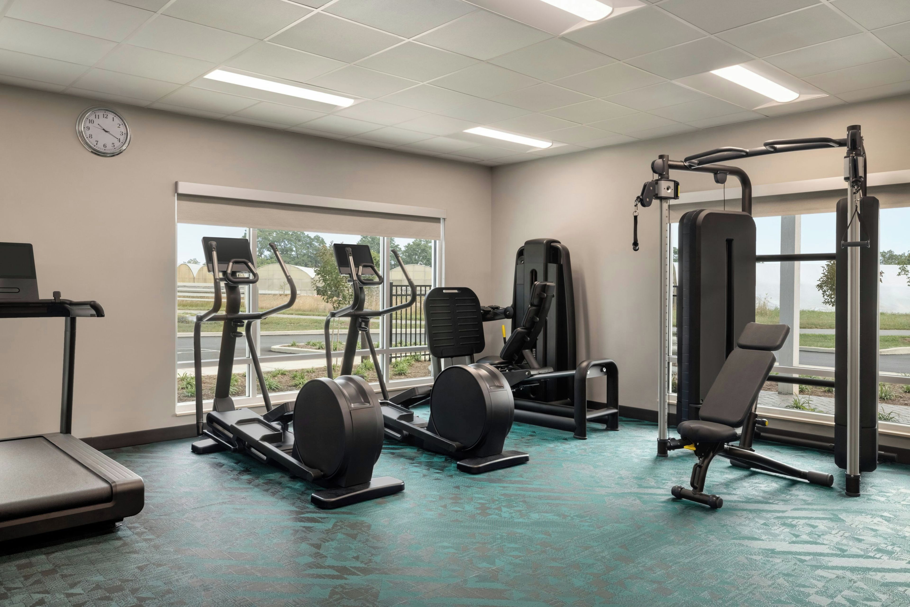 Une salle de sport équipée de machines de cardio, de poids et d’une fenêtre donnant sur un espace verdoyant.
