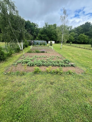 Ein Garten mit erhöhten Beeten, einem Zaun und Bäumen.