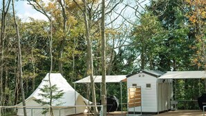 Un terrain de camping avec des tentes et un petit chalet, entouré d’arbres.