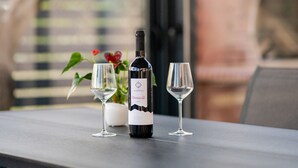 Et bord med en vinflaske og to glas, en potteplante og udsigt gennem et vindue.