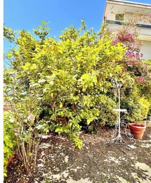 Property grounds - Vrbo Property (Finale Ligure)