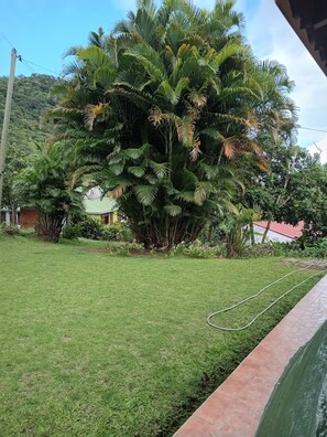 Property grounds - Vrbo Property (Deshaies)