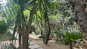 Ein Gartenweg, umgeben von Palmen und anderer Bepflanzung.