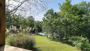 Blick auf einen üppigen Garten mit einem Schwimmbecken, umgeben von Bäumen und verschiedenen Pflanzen.
