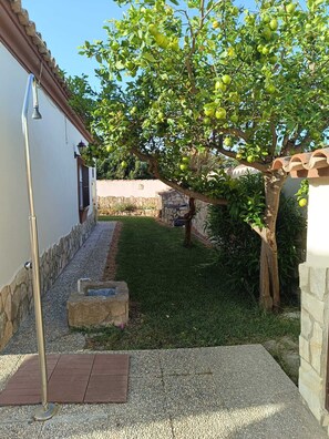 A garden with a tree bearing fruit, a stone wall, and a metal lamp post.