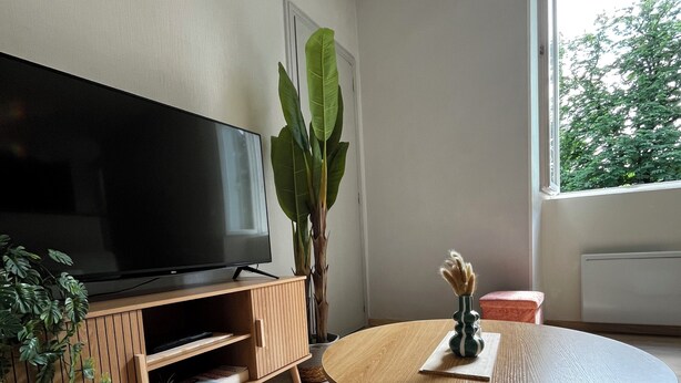 A modern living room with a flat-screen TV, wooden entertainment unit, a round coffee table, a potted plant, and a view through a window. - Renovated T2 - Cathedral view - Center - Wifi (Lodève)