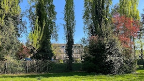 Un parque con árboles altos, un edificio al fondo y cielo despejado.
