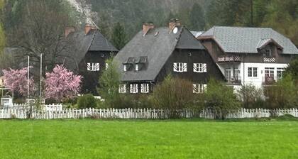 Pure nature vacation: vacation home with 4 self-contained apartments by the Salza waterfall