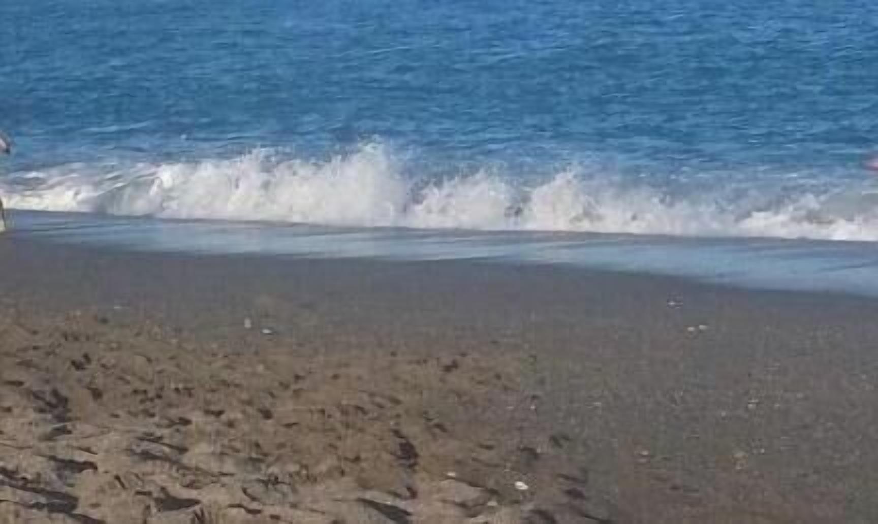 Apartment, 2 Bedrooms, Private Pool | Beach