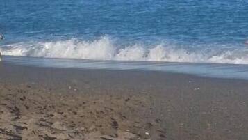 Apartment, 2 Bedrooms, Private Pool | Beach