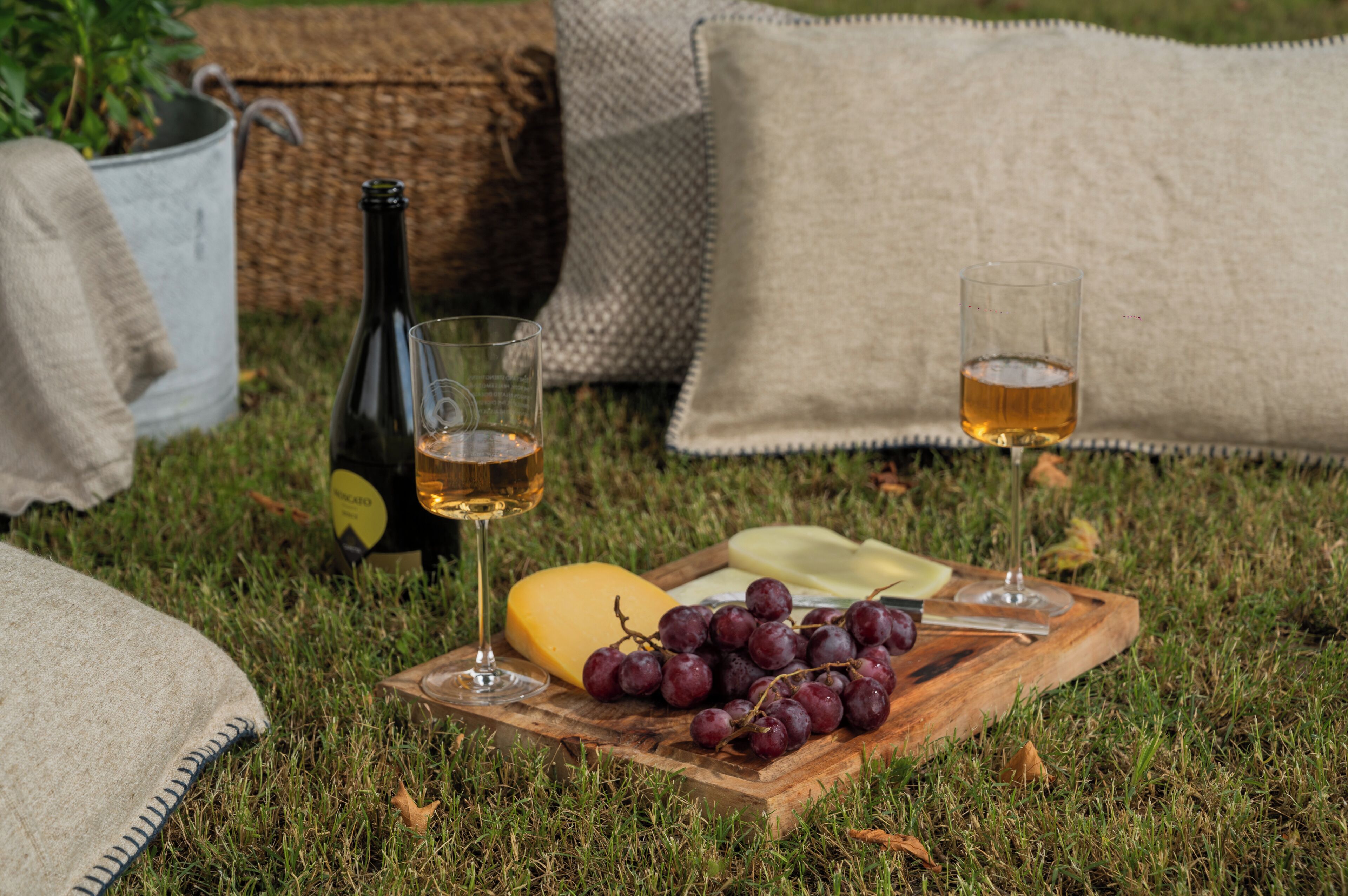 Une table de pique-nique avec une bouteille, des verres, du fromage et des raisins disposés sur une planche en bois.