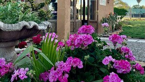 A small building with a tiled roof, surrounded by a garden with pink flowers and green foliage. - Independent House for Two with Pool and Garden (El Turó)