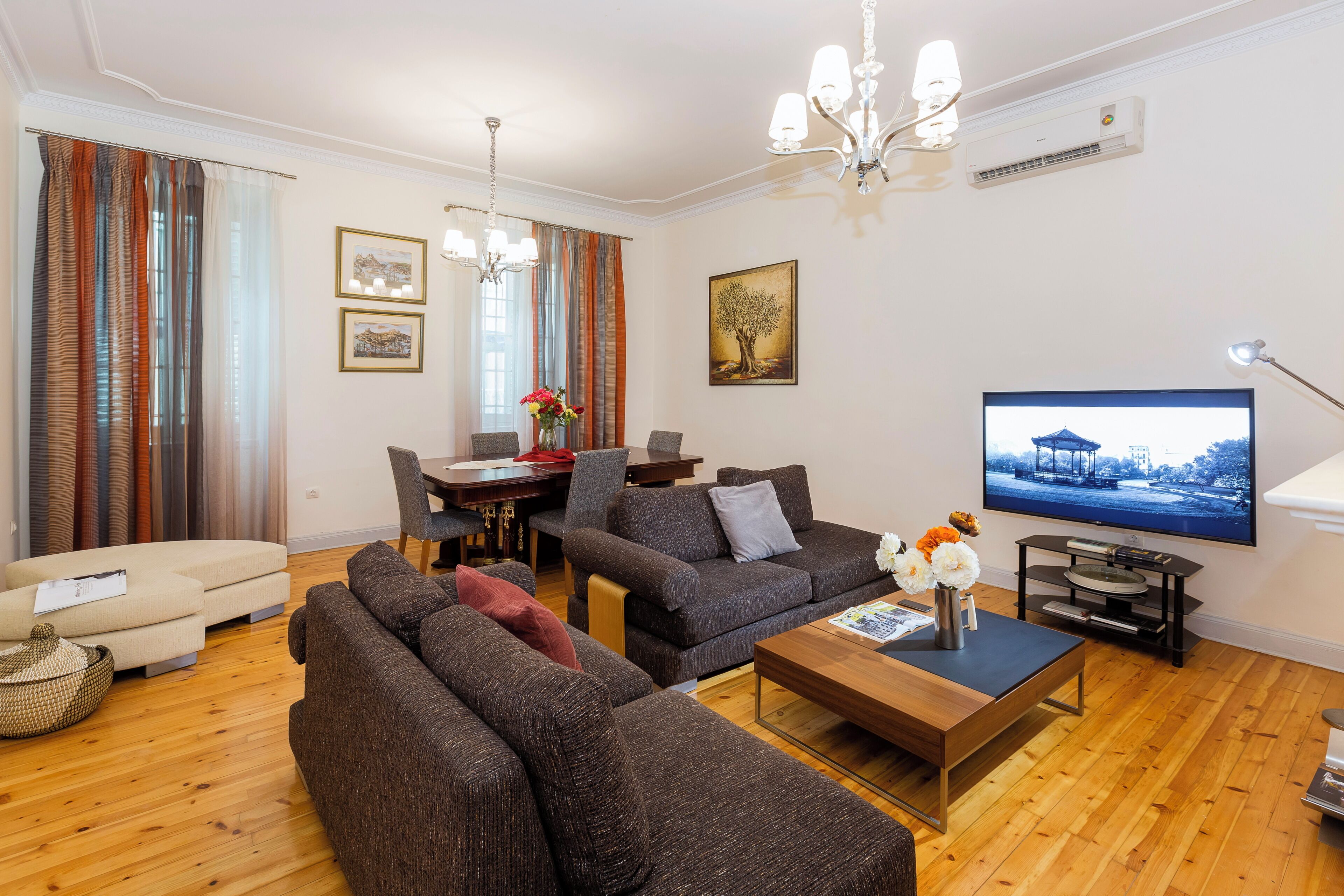 Flat-screen TV